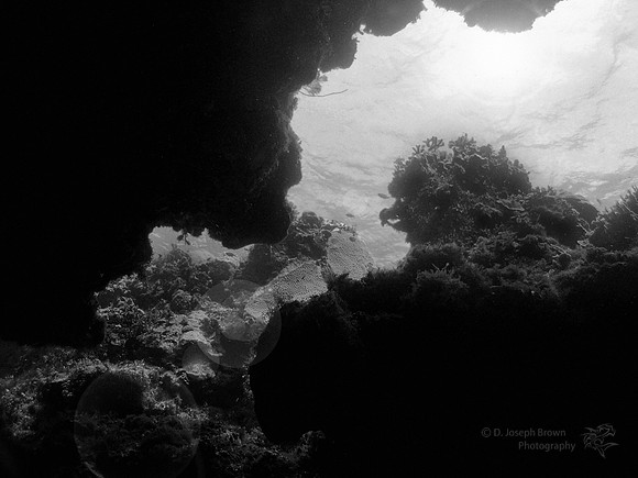 Cozumel Cavern - Cozumel, MX