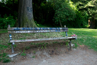 Curt Cobain Memorial Bench - Viretta Park, Seattle