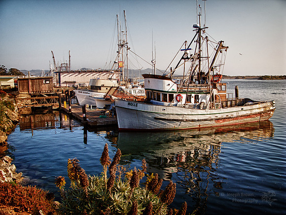 Quiet Harbor - Morro Bay, CA