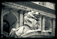 The Sentry - NYC Public Library