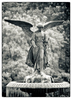 Angel of the Waters - Central Park, NY