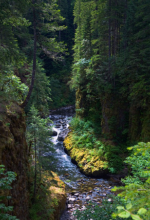 Eagle Creek - Columbia Gorge, OR