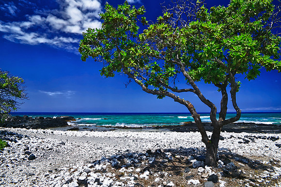Kona Vista - Hawaii