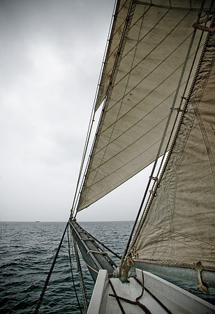 Black Dog Tall Ship - Martha's Vineyard, MA